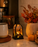 Lighted Halloween Story Lantern